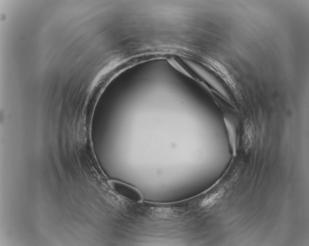 X0000086891172200704231120