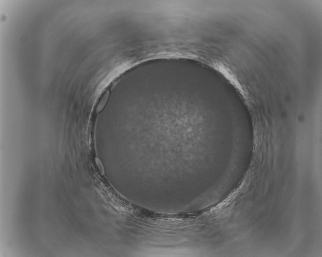 X0000086891173200704231120