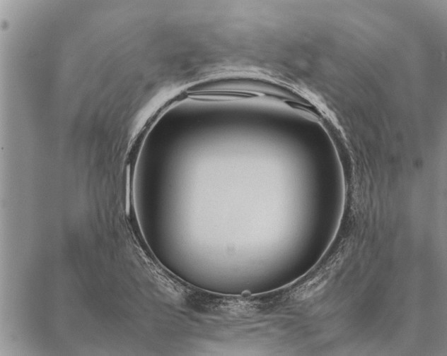 X0000086891175200704231120