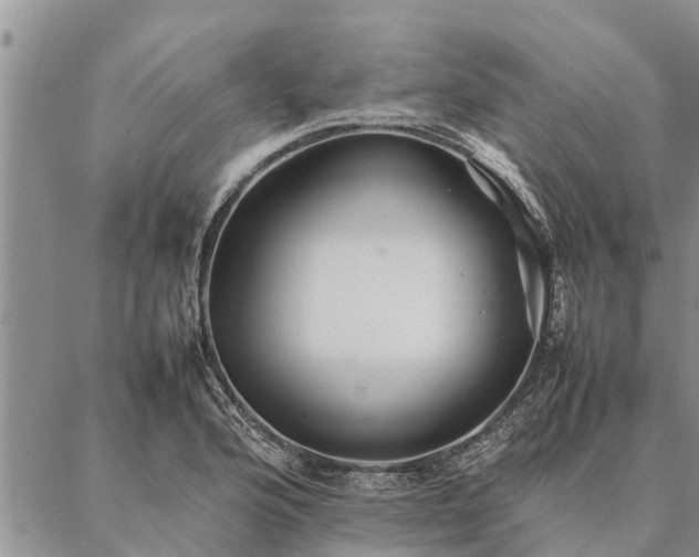 X0000086891176200704231120