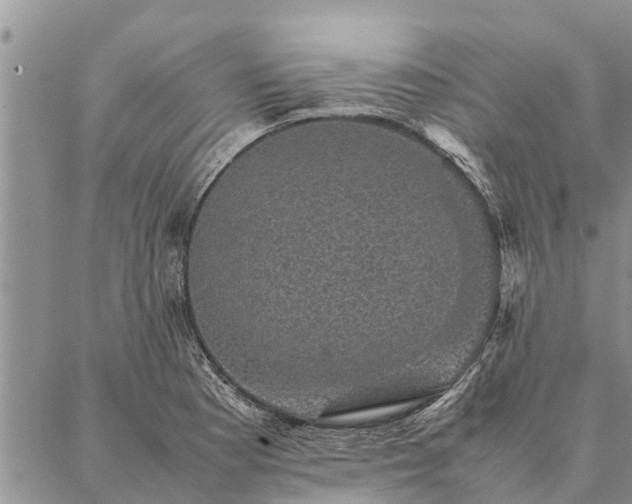 X0000086891177200704231120