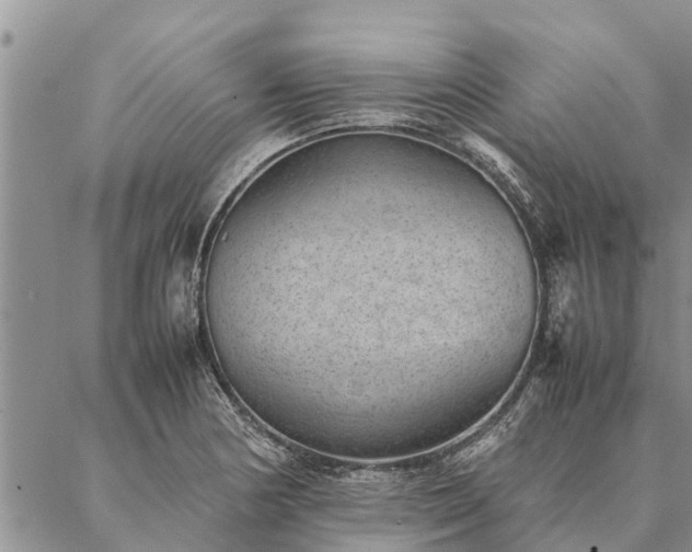 X0000086891178200704231120