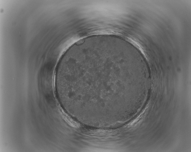 X0000086891179200704231120