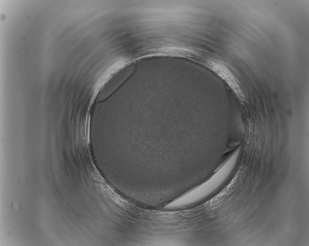 X0000086891180200704231120