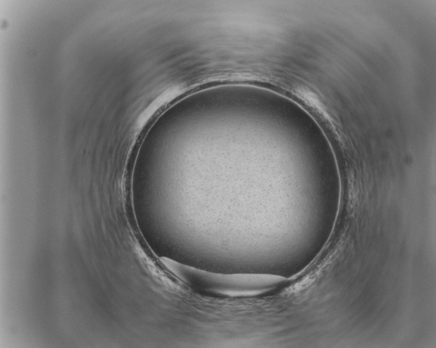 X0000086891181200704231120