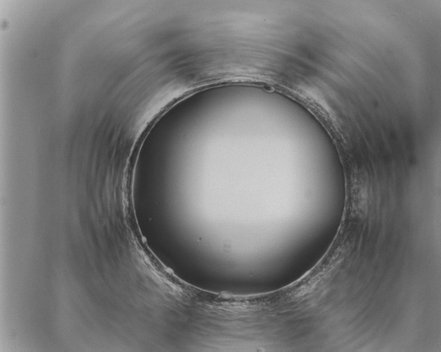 X0000086891182200704231120