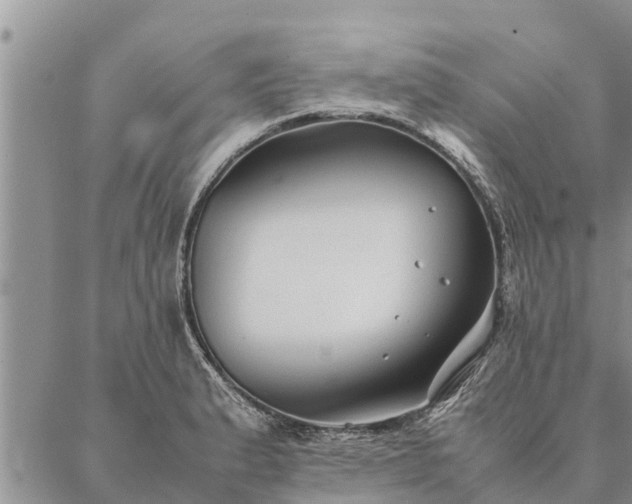 X0000086891183200704231120