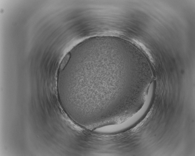 X0000086891184200704231120