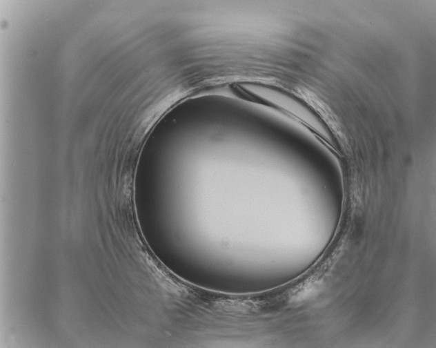 X0000086891185200704231120