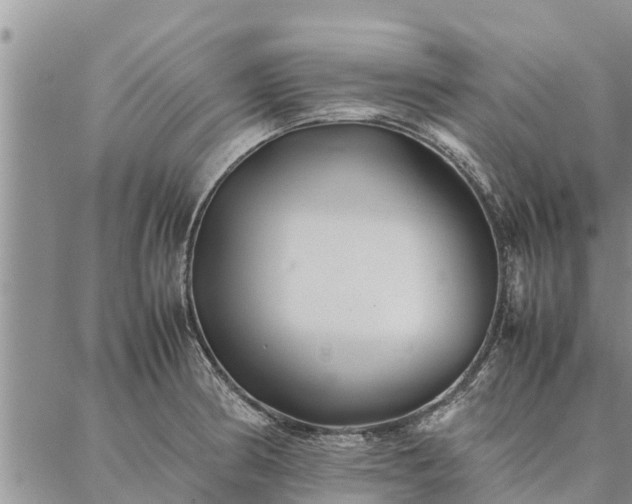 X0000086891186200704231120