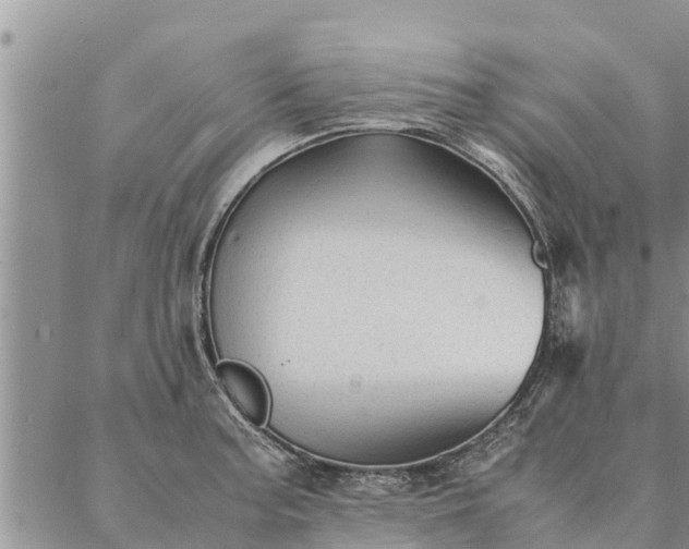 X0000086891187200704231120