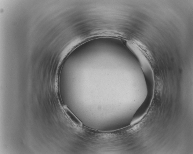 X0000086891188200704231120