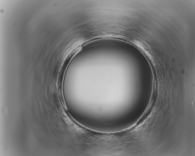 X0000086891189200704231120