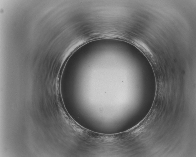 X0000086891190200704231120