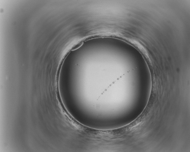 X0000086891191200704231120