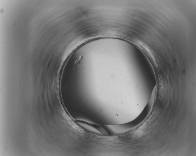 X0000086891192200704231120