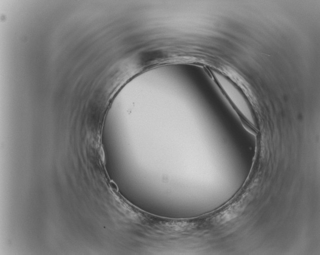 X0000086891193200704231120