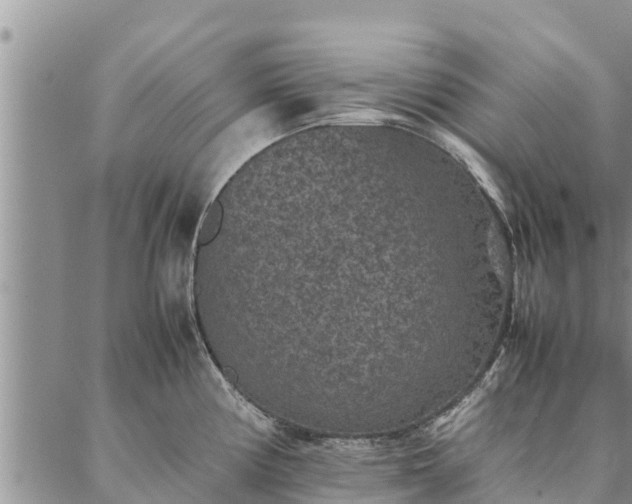 X0000086891194200704231120