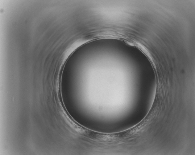 X0000086891195200704231120