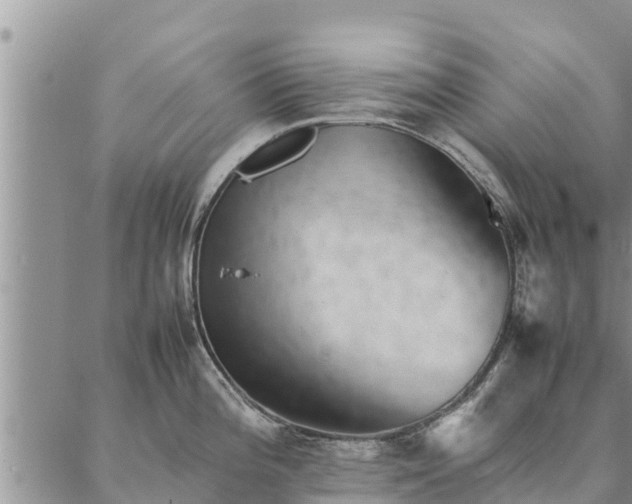 X0000086891196200704231120