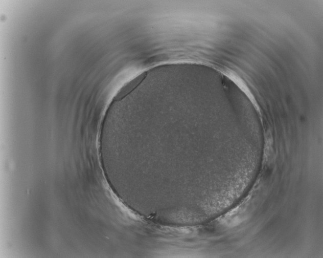 X0000086891197200704231120