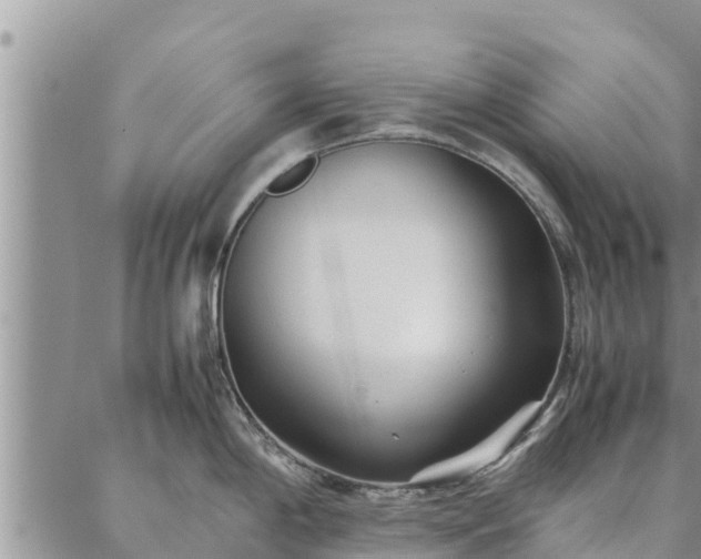 X0000086891198200704231120