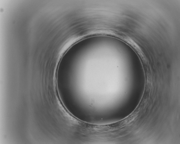 X0000086891199200704231120