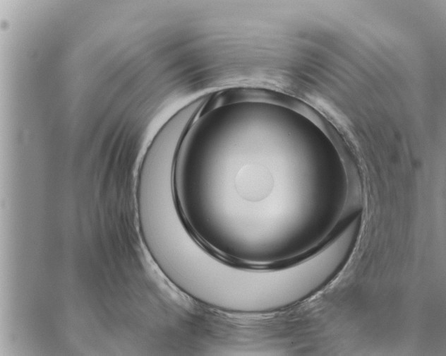 X0000086891200200704231120