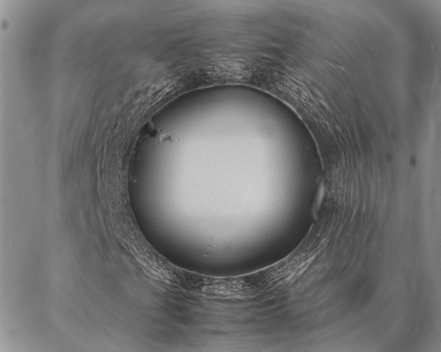 X0000086891201200704231119