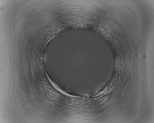 X0000086891202200704231119