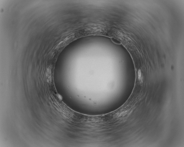 X0000086891203200704231119