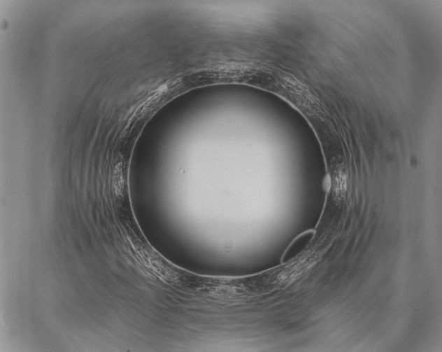 X0000086891204200704231119