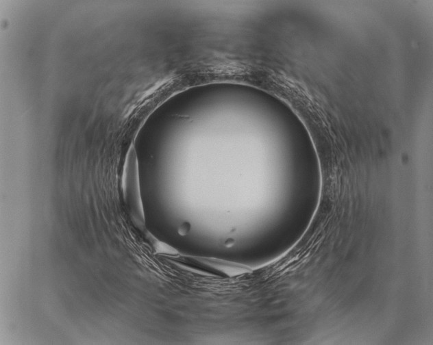 X0000086891205200704231119