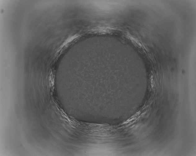 X0000086891206200704231119