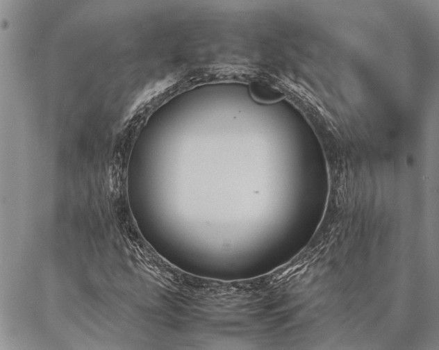 X0000086891207200704231119