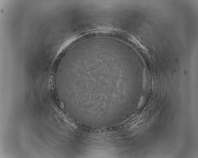 X0000086891208200704231119