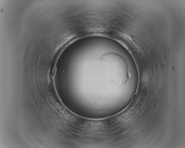 X0000086891209200704231119