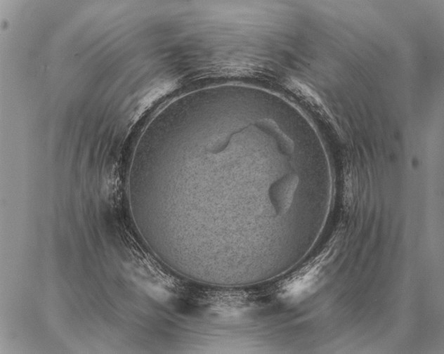 X0000086891210200704231119