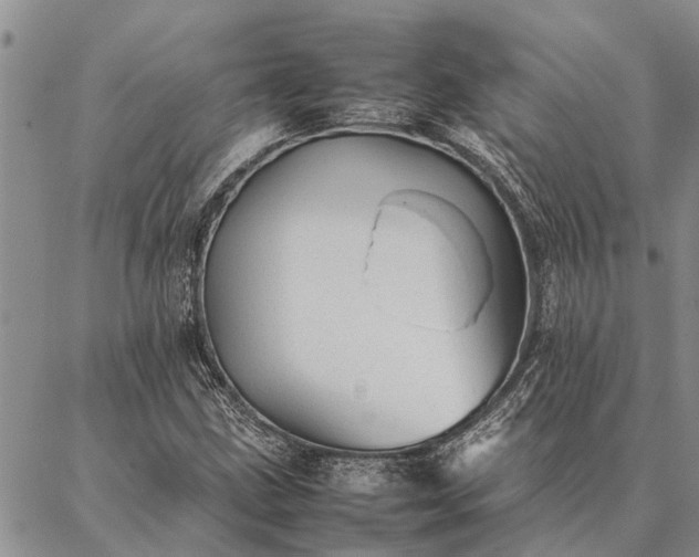 X0000086891211200704231119