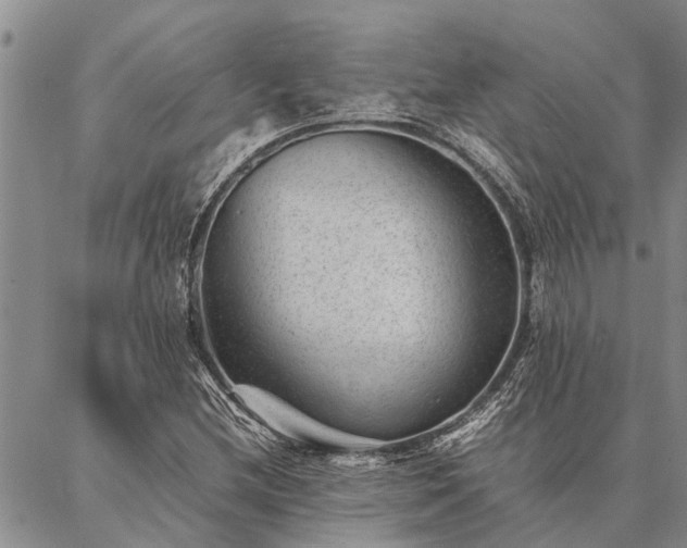 X0000086891212200704231119