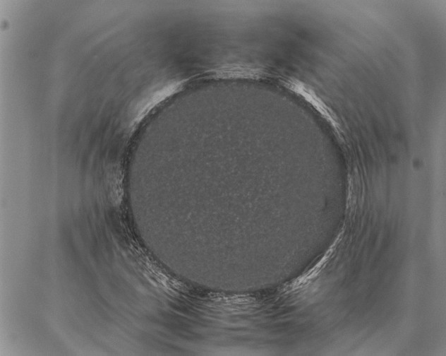 X0000086891213200704231119