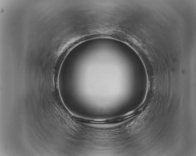 X0000086891214200704231119