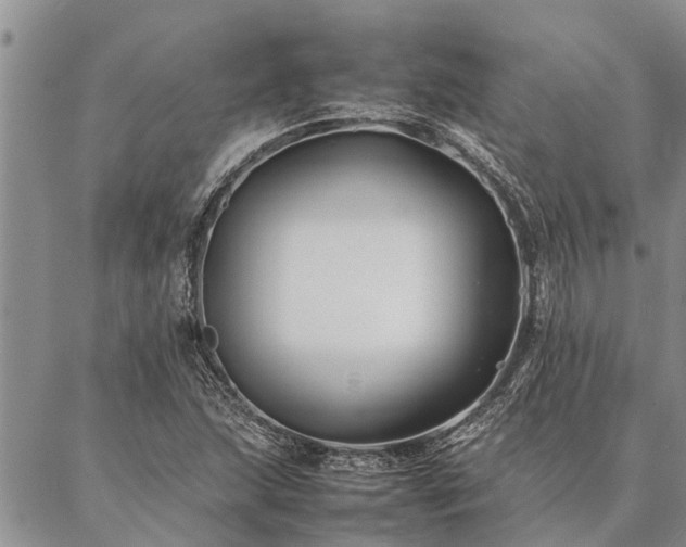 X0000086891215200704231119