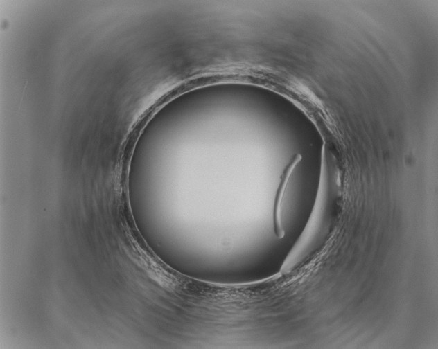 X0000086891216200704231119