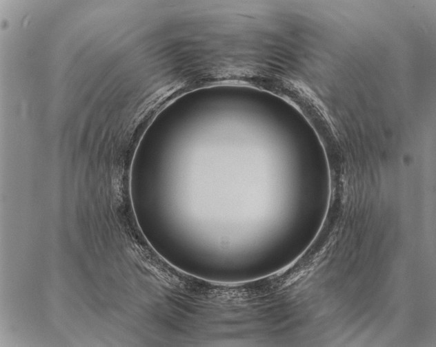 X0000086891217200704231119