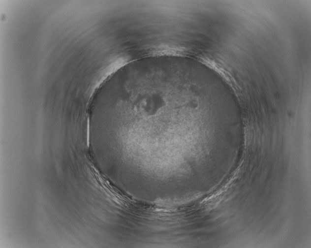 X0000086891219200704231119