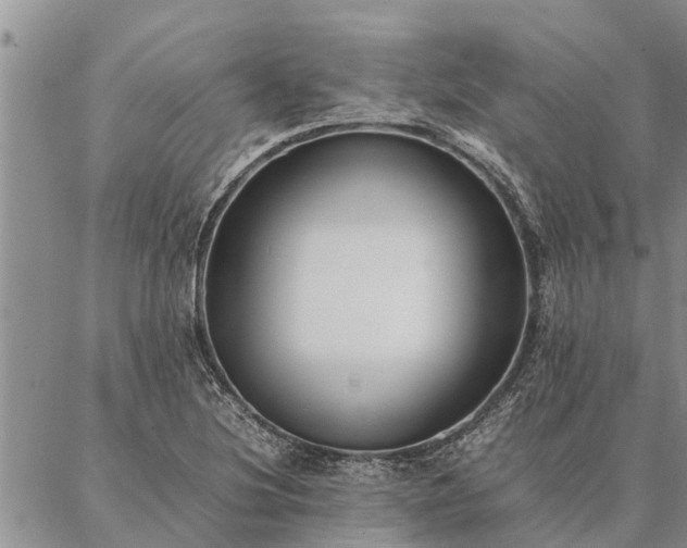 X0000086891220200704231120