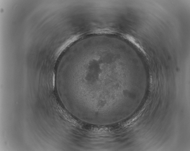 X0000086891221200704231120