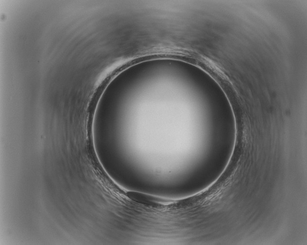 X0000086891222200704231120