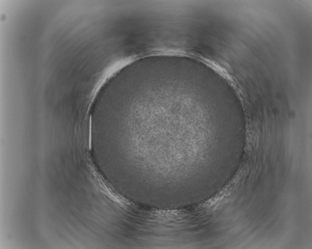 X0000086891223200704231120